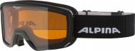 Очки горнолыжные Alpina 2020-21 Scarabeo S DH Black